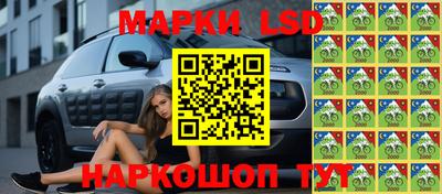 стаф Будённовск