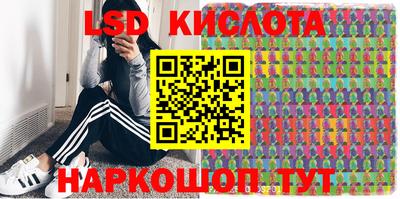 стаф Будённовск