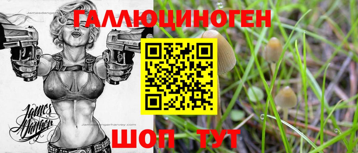 Казань  где можно купить наркотик  Вход с VPN  Галлюциногенные грибы Magic Shrooms  Галлюциногенные грибы прущие грибы 