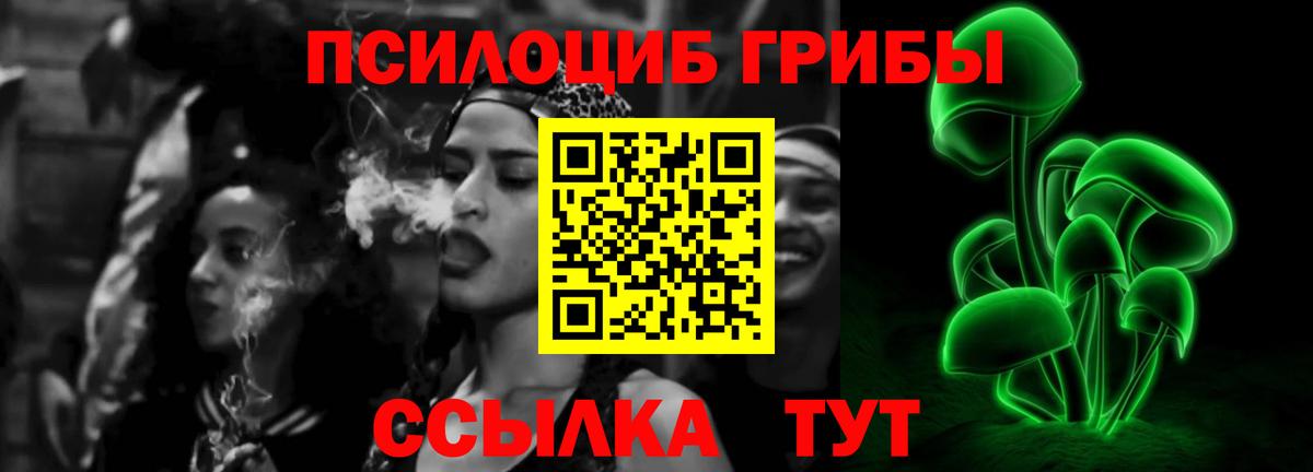 Псилоцибиновые грибы GOLDEN TEACHER Казань